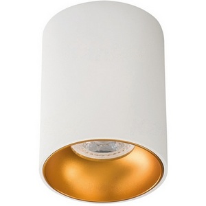 Изображение товара Точечный светильник Kanlux RITI 27570