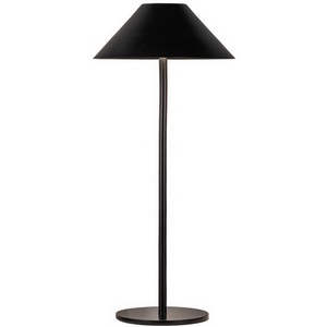 Изображение товара Настольная лампа светодиодная с аккумулятором Kink Light Паола 07210-T,19