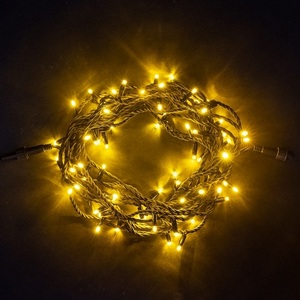 Изображение товара Гирлянда Нить 10м Желтая 24В, LED, Провод Черный Каучук, IP65 Laitcom Нити (на ёлку) LL75-1-1Y