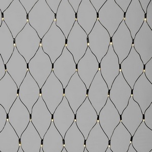 Изображение товара Светодиодная сеть с колпачком 2 x 2 м тепло-белая 220В, 256 LED, провод черный ПВХ, IP65 Laitcom NTL256CAP-11-2WW