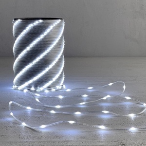 Изображение товара Гирлянда светодиодная 1 метр Роса Про 1м белая 24В, 10 LED, провод прозрачный ПВХ, IP65 Laitcom RPro10-1m-1W