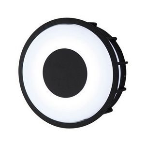 Изображение товара Светодиодный настенный светильник уличный IP44 L'Arte Luce Telma L78056.31