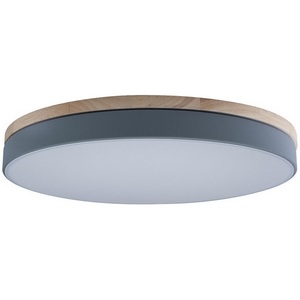 Изображение товара Потолочный светильник круглый светодиодный 10001/36 Loft It Axel Grey