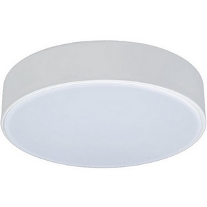 Изображение товара Потолочный светильник круглый светодиодный 10002/12 Loft It Axel White