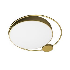 Изображение товара Настенно-потолочный светильник светодиодный Loft It Mike 10063