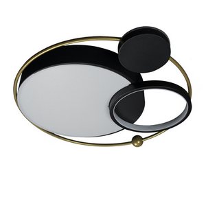 Изображение товара Настенно-потолочный светильник светодиодный Loft It Mike 10064