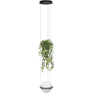 Изображение товара Подвесной светодиодный светильник Loft It Jardin 10121/1P Dark grey в форме шара