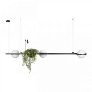 Изображение товара Подвесные светильник LEDи Loft It Jardin 10121/C в форме шара