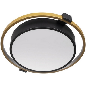 Изображение товара Потолочный светодиодный светильник круглый Loft It Mike 10169