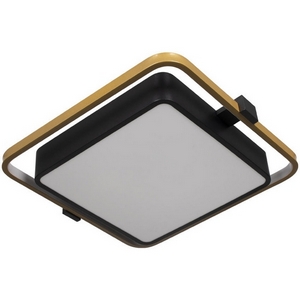 Изображение товара Потолочный светодиодный светильник Loft It Mike 10171