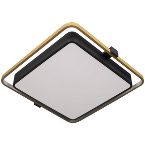 Изображение товара Потолочный светодиодный светильник Loft It Mike 10172