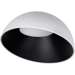 Изображение товара Потолочный светильник светодиодные Loft It Egg 10197/500 WB