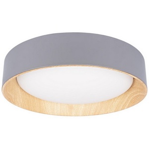 Изображение товара Потолочный светильник с плафоном из металла круглый светодиодный Loft It Coin 10202 Grey