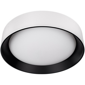 Изображение товара Потолочный светильник светодиодные Loft It Coin 10202 WB