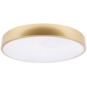 Изображение товара Потолочный светильник круглый LED Loft It Flims 10228/A