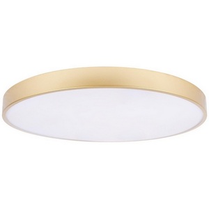 Изображение товара Потолочный светильник круглый LED Loft It Flims 10228/B