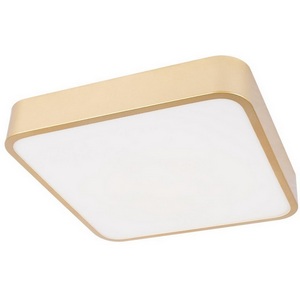 Изображение товара Потолочный светильник LED Loft It Flims 10228/C