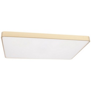 Изображение товара Потолочный светильник LED Loft It Flims 10228/E