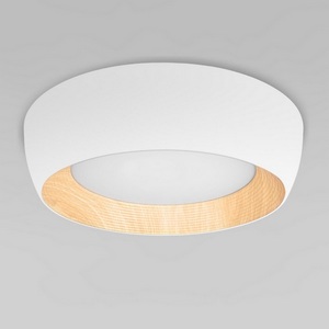 Изображение товара Потолочный светодиодный светильник круглый Loft It Folk 10255/500 White