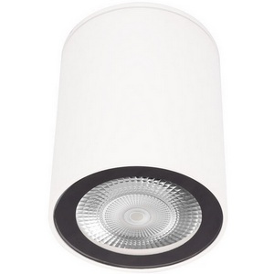 Изображение товара Накладной светильник Loft It Rush 10344 White