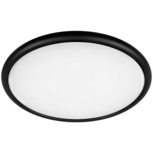 Изображение товара Потолочный светильник светодиодный Loft It Sweety 10454/500 Black