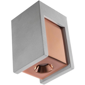 Изображение товара Потолочный светильник точечный светодиодный 2OL1073-GG Loft It Architect OL1073-GG