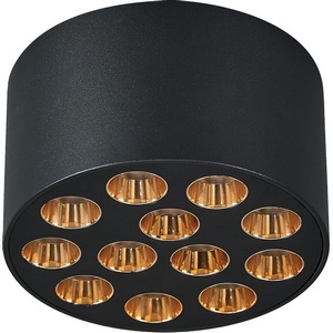 Изображение товара Светильник потолочный Lightstar Guarda 080942 9W 750LM 4000K черный/золото