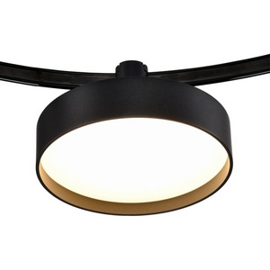 Изображение товара Трековый светильник светодиодный однофазный 48V Lightstar DUE 207537