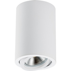 Изображение товара Накладной светильник Lightstar RULLO 214406