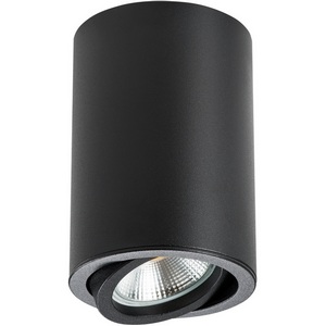 Изображение товара Накладной светильник Lightstar RULLO 214407