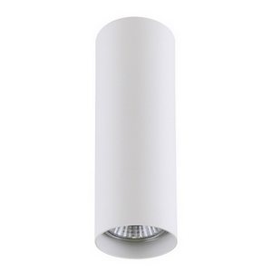 Изображение товара Точечный накладной светильник Lightstar RULLO 214496
