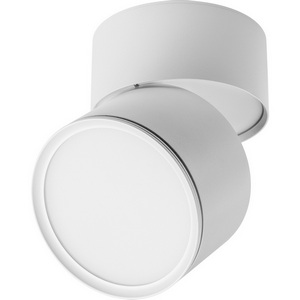 Изображение товара Потолочный светильник точечный светодиодные холодный свет 6500k Lightstar Acuto 215886