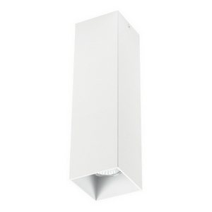 Изображение товара Накладной светильник Lightstar RULLO 216596