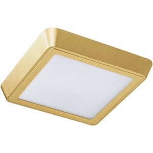 Изображение товара Потолочный светильник влагозащищенный IP65 Lightstar Urbano 216834