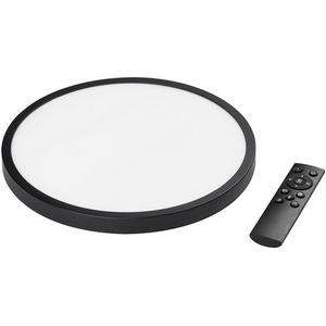 Изображение товара Светильник с пультом накладной со встроенными светодиодами Lightstar Arco 225337 (Умный дом)