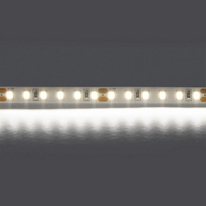 Изображение товара Светодиодная лента холодного белого свечения 24V Lightstar 420805