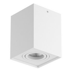 Изображение товара Точечный накладной светильник 52076 Lightstar Rettango 052076