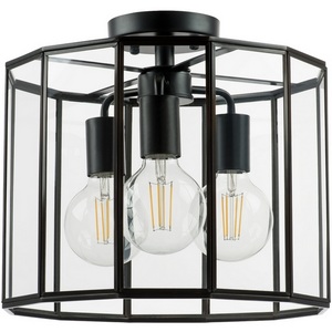 Изображение товара Потолочная люстра Lightstar Genni 798237