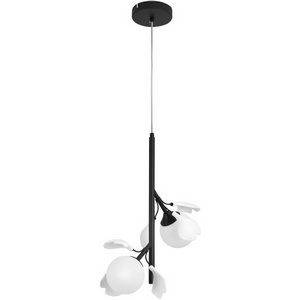 Изображение товара Подвесной светильник Lightstar Ceramo BW 799027