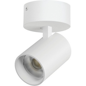 Изображение товара Спот накладной LED 30W с накладной чашей Lightstar Alta Base A5336SO