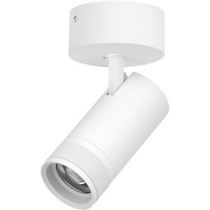 Изображение товара Спот накладной 30W 2100LM 20-55G с адаптером Lightstar Canno Pro C4306SO