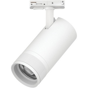 Изображение товара Трековый светильник однофазный/трехфазный светодиодный 30W 220V 2100LM 20-55G с тонким адаптером Lightstar Canno Pro C4306SS