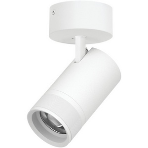 Изображение товара Спот накладной 40W 2800LM 20-55G с адаптером Lightstar Canno Pro C4406SO