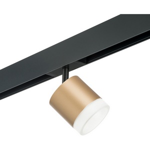 Изображение товара Трековый однофазный светильник 220V Lightstar Rullo для трека PRO Rullo PRO349080