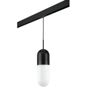 Изображение товара Трековый светильник однофазный 220V Lightstar Ramo PRO690117