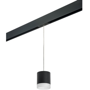 Изображение товара Трековый светильник однофазный 220V Lightstar Rullo PRORP348780