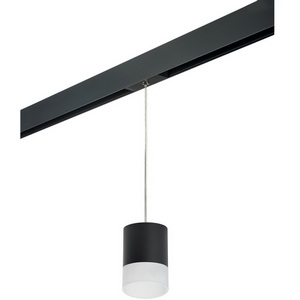 Изображение товара Трековый светильник однофазный 220V Lightstar Rullo PRORP348781