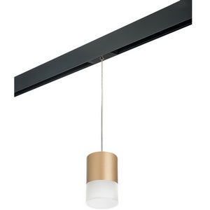 Изображение товара Трековый светильник однофазный 220V Lightstar Rullo PRORP349081