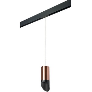 Изображение товара Трековый светильник однофазный 220V Lightstar Rullo PRORP43037