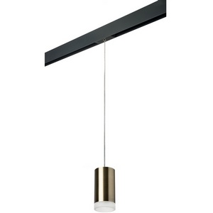 Изображение товара Трековый светильник однофазный 220V Lightstar Rullo PRORP43130